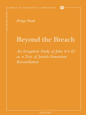 cover image of Beyond the Breach